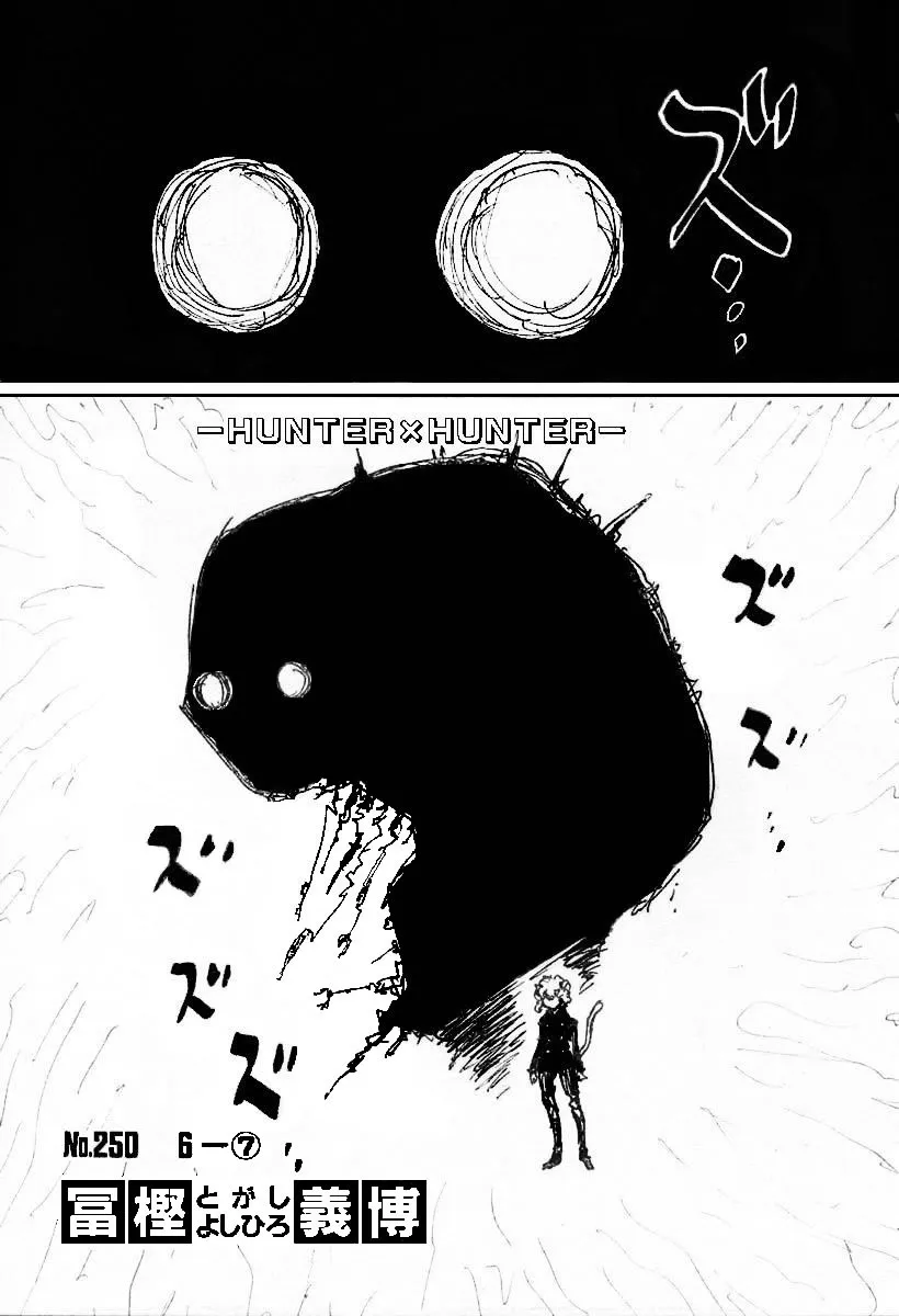 Hunter X Hunter - 250 - 65db97fe7c49d.webp