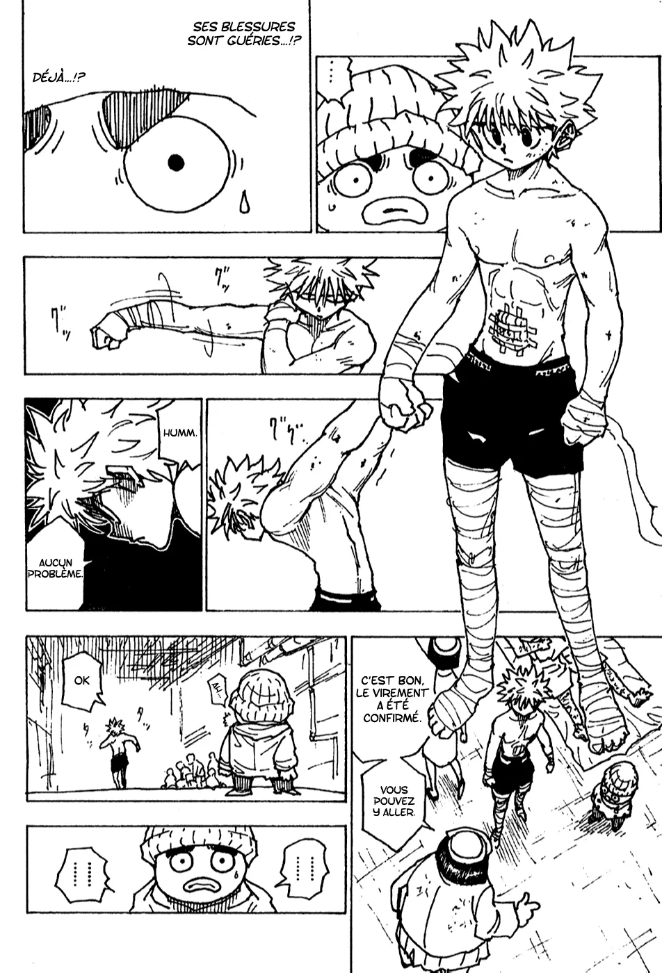 Hunter X Hunter - 255 - 65db980ed973a.webp