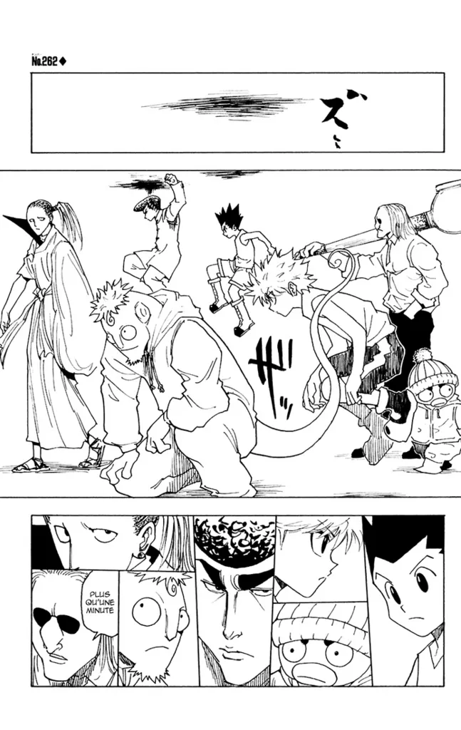Hunter X Hunter - 262 - 65db982801df1.webp