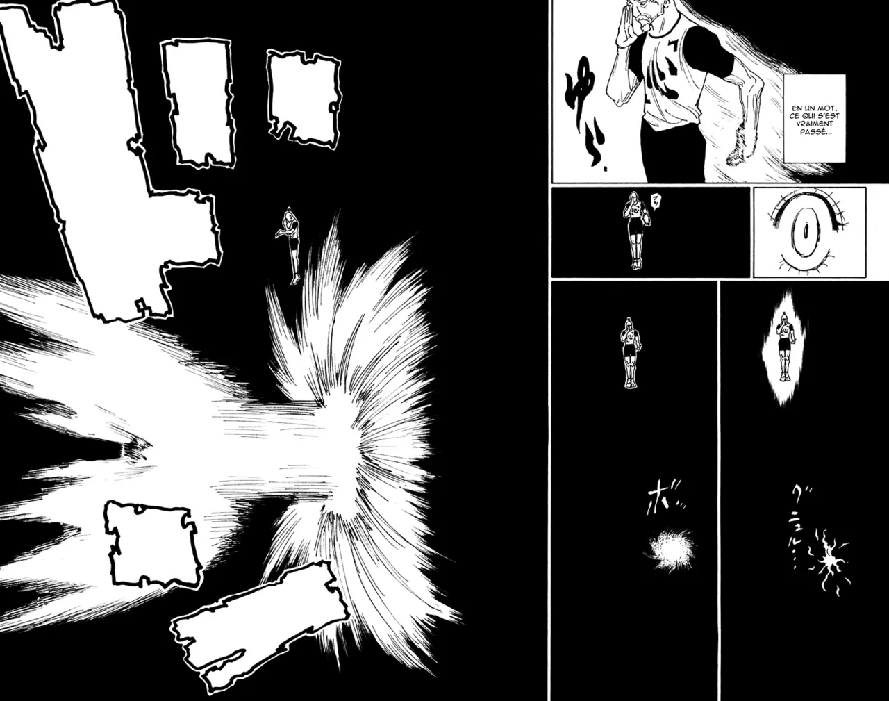 Hunter X Hunter - 264 - 65db982fdec4c.webp