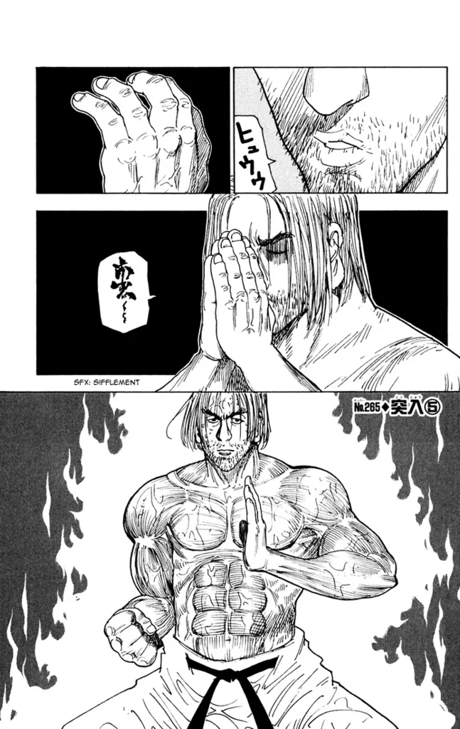 Hunter X Hunter - 265 - 65db98307d10c.webp