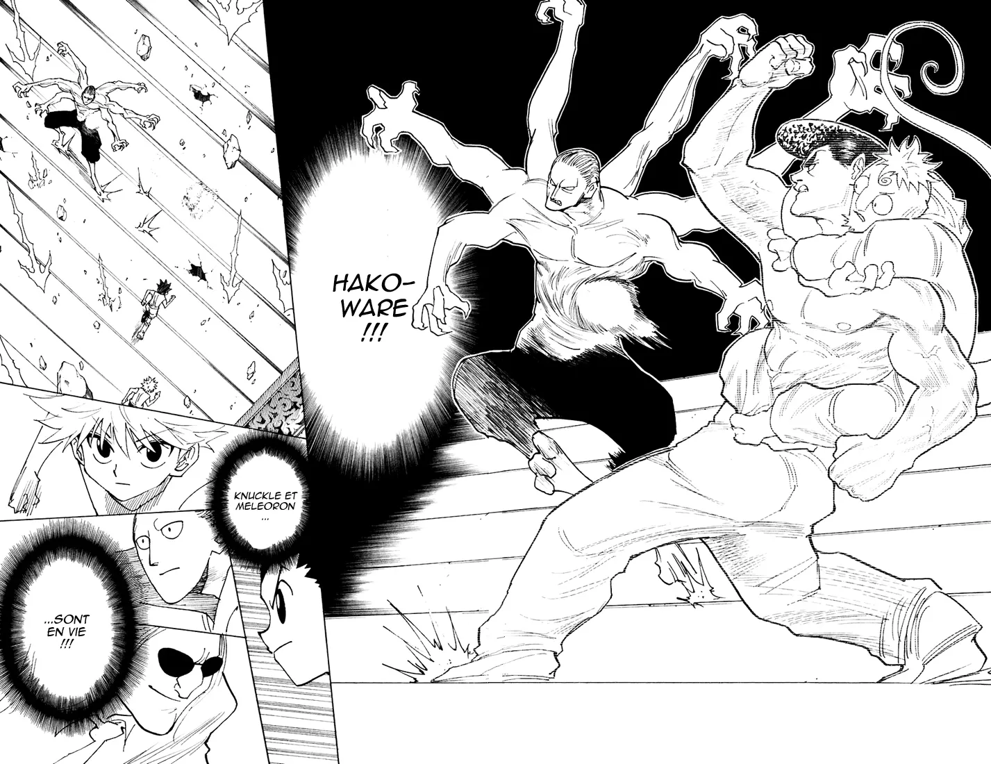 Hunter X Hunter - 266 - 65db9835b68d5.webp