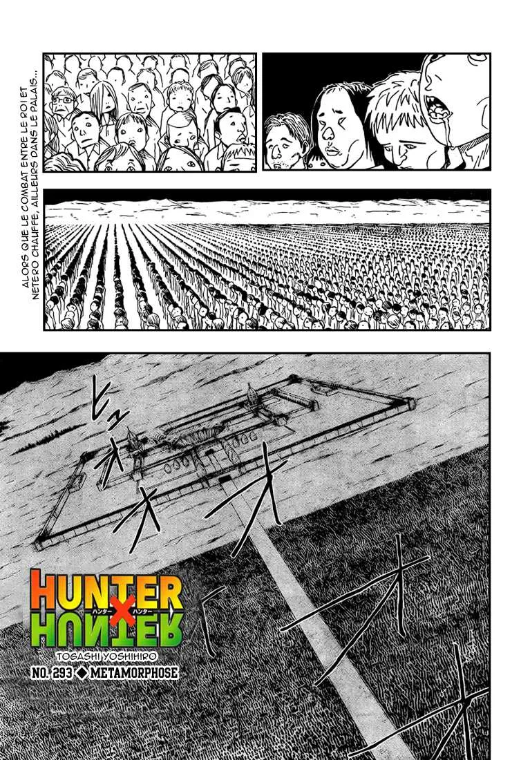 Hunter X Hunter - 293 - 65db988e88bf0.webp