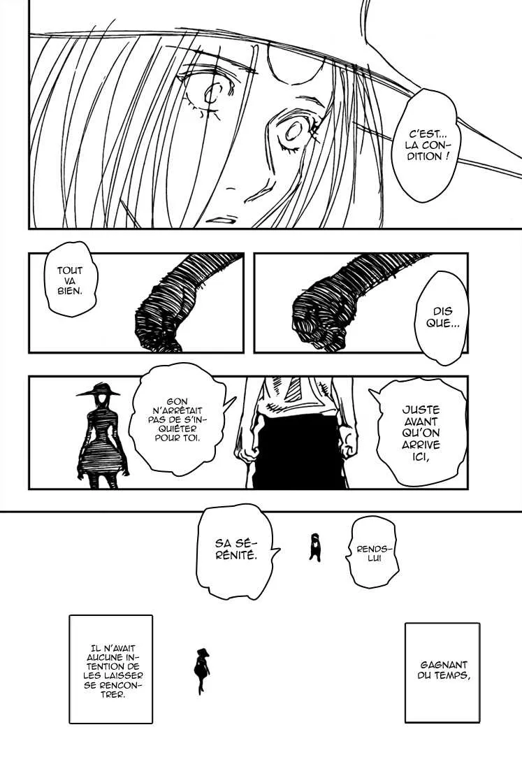 Hunter X Hunter - 294 - 65db9892c4801.webp