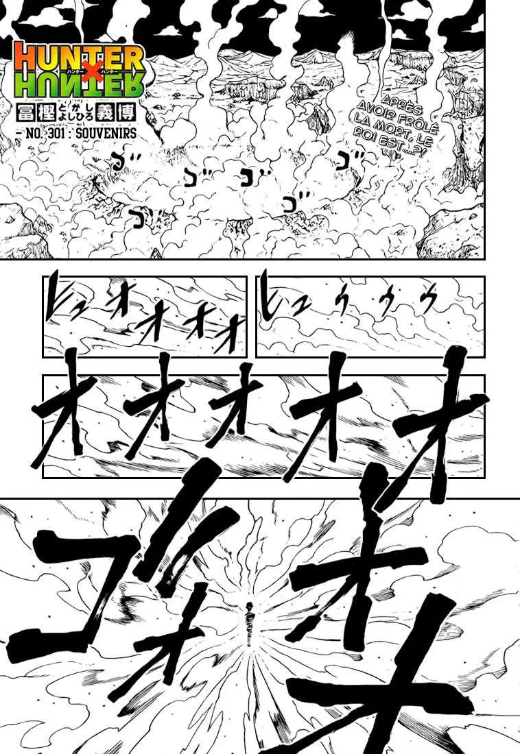 Hunter X Hunter - 301 - 65db98bd762aa.webp