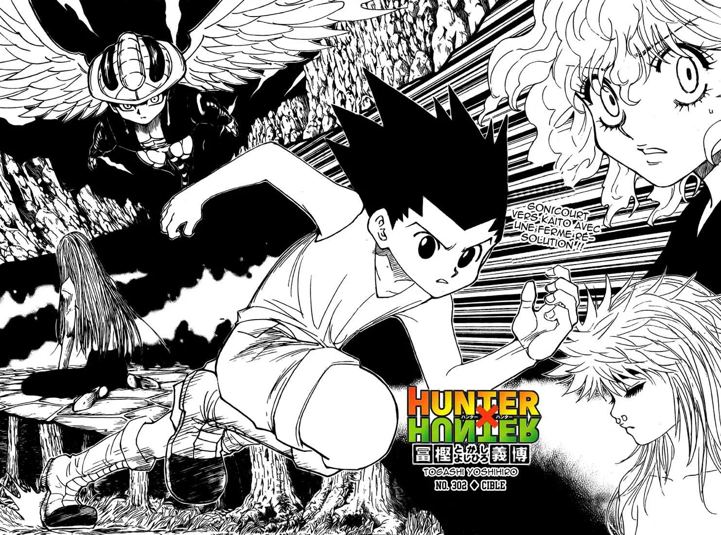 Hunter X Hunter - 302 - 65db98c167f01.webp