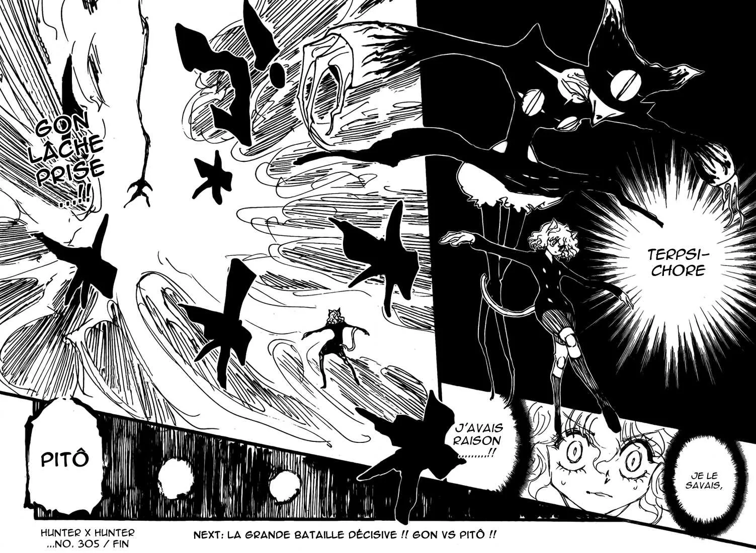 Hunter X Hunter - 305 - 65db98cd23e1e.webp