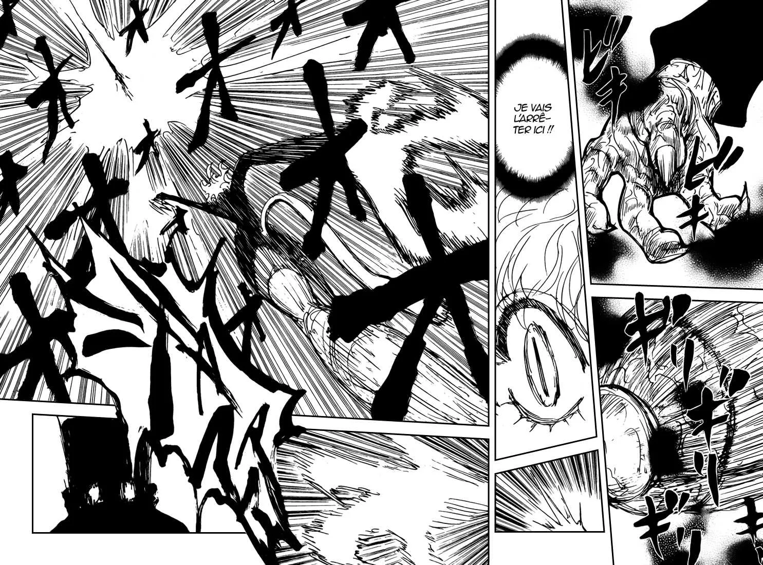 Hunter X Hunter - 306 - 65db98cd917e2.webp