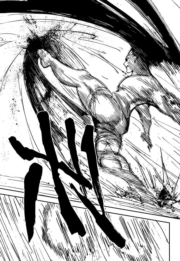 Hunter X Hunter - 306 - 65db98ce8bcc0.webp
