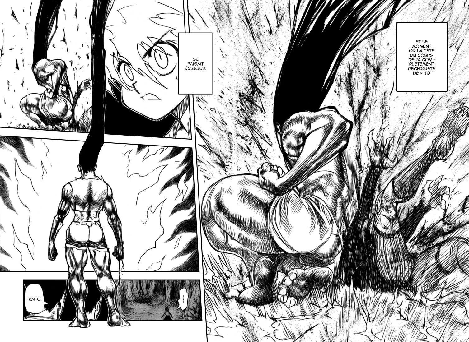 Hunter X Hunter - 307 - 65db98d14cebd.webp