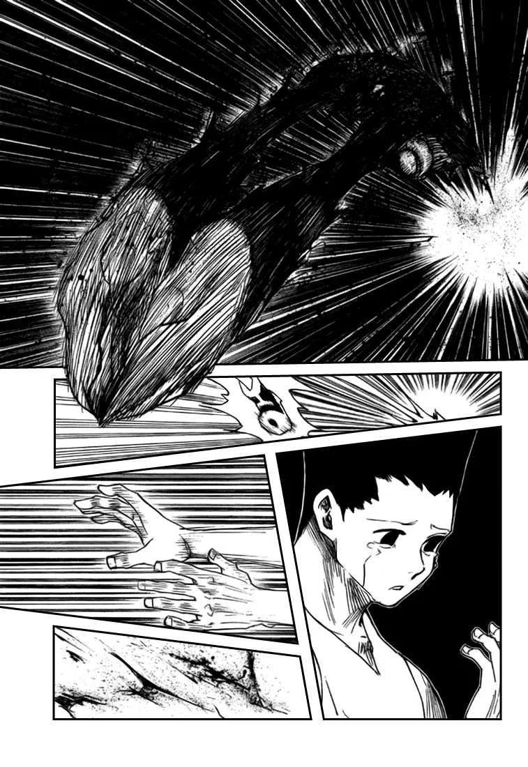Hunter X Hunter - 307 - 65db98d1effd2.webp