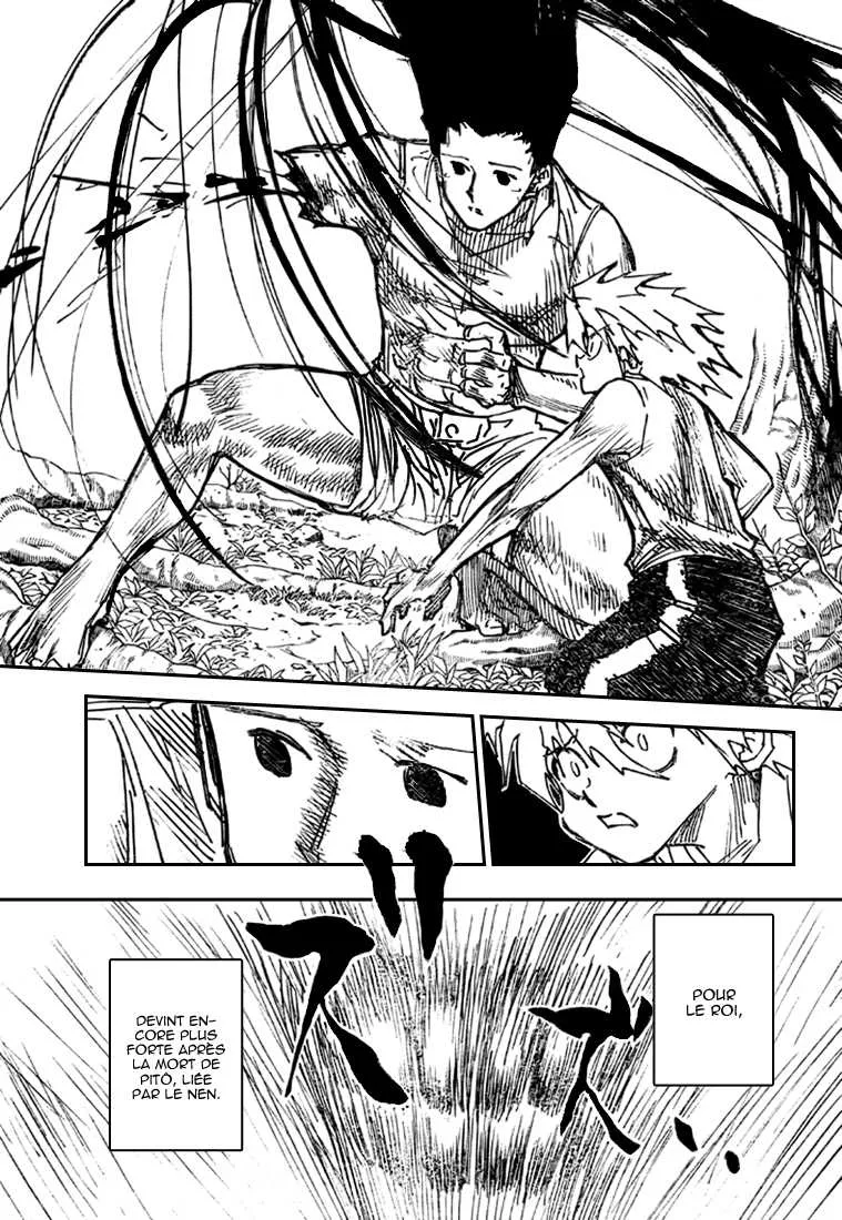 Hunter X Hunter - 307 - 65db98d24b580.webp