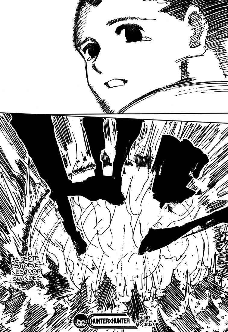 Hunter X Hunter - 307 - 65db98d39d22f.webp