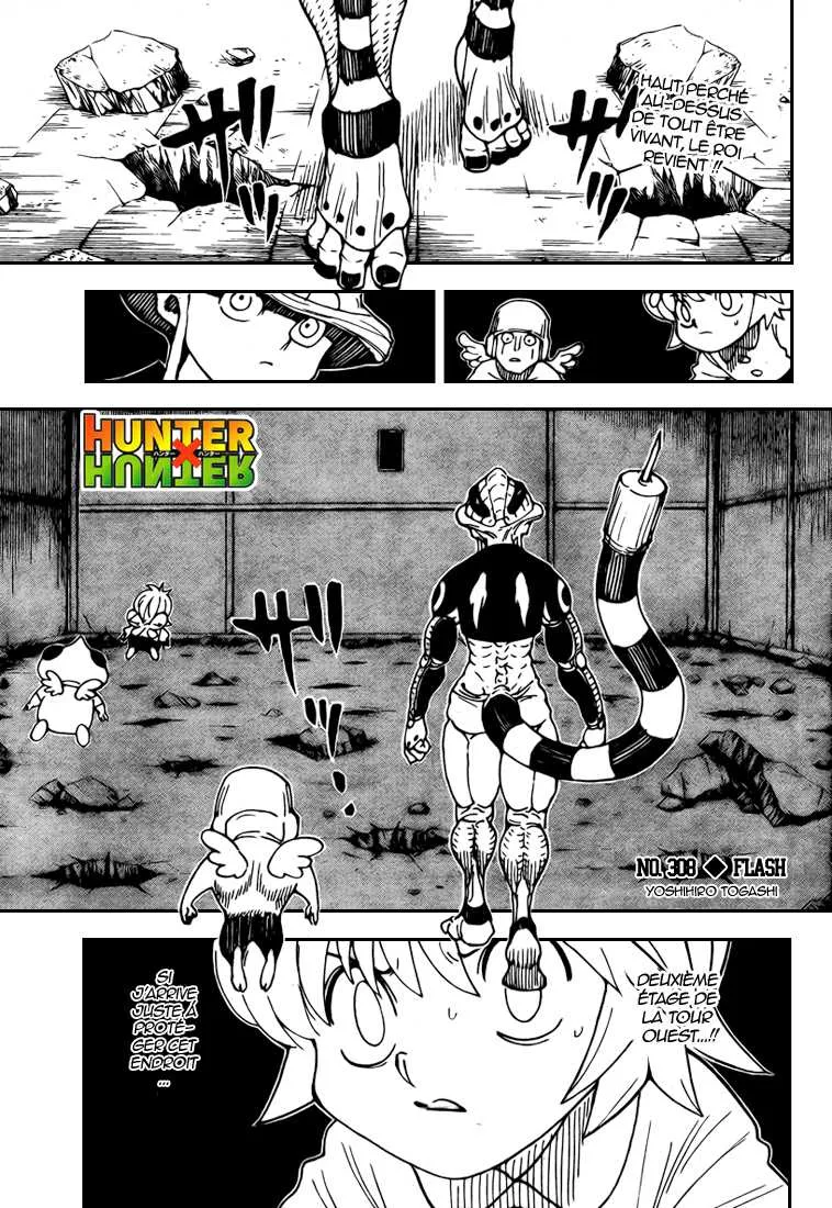 Hunter X Hunter - 308 - 65db98d3cce8b.webp