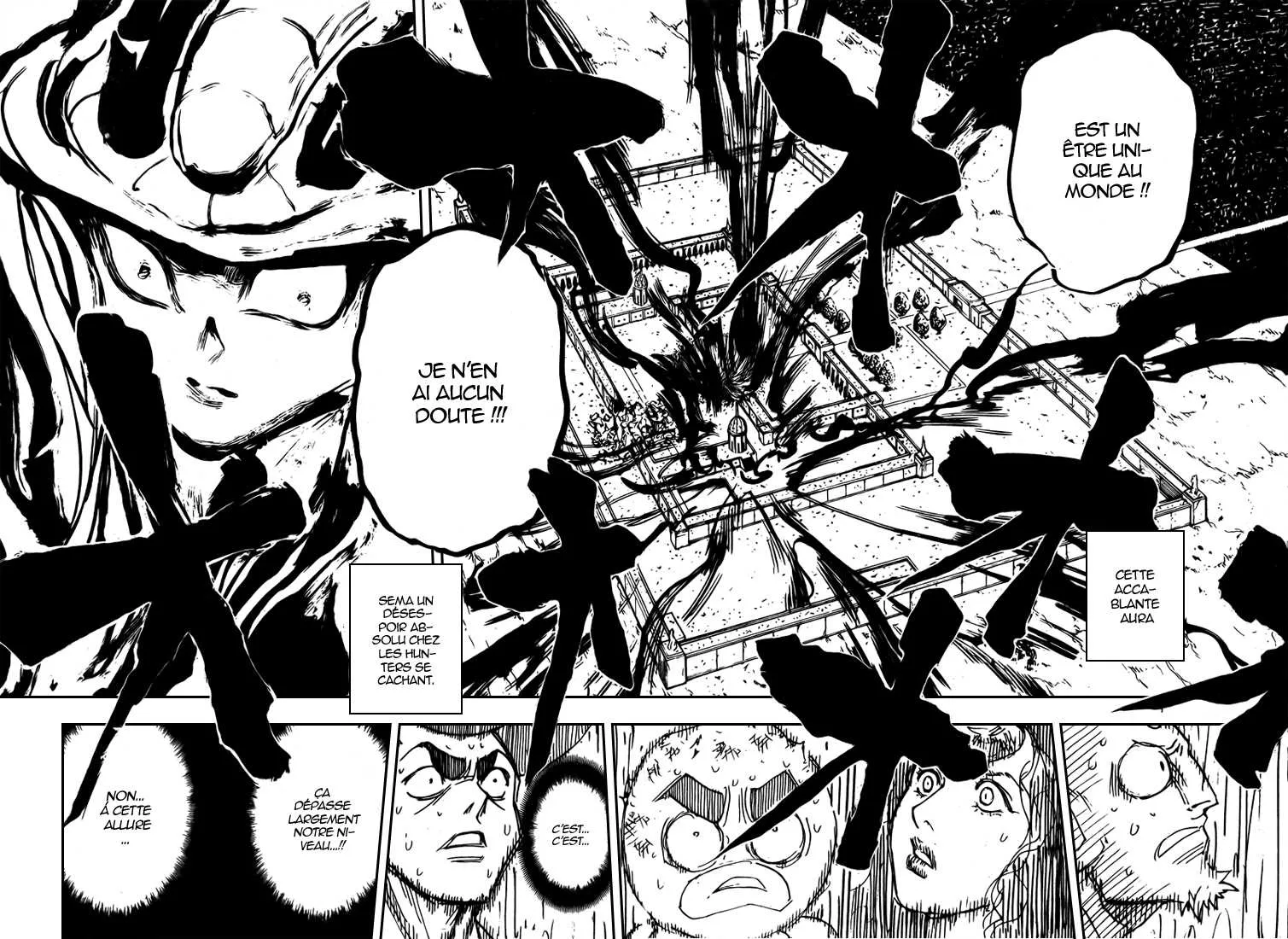 Hunter X Hunter - 308 - 65db98d55d4aa.webp