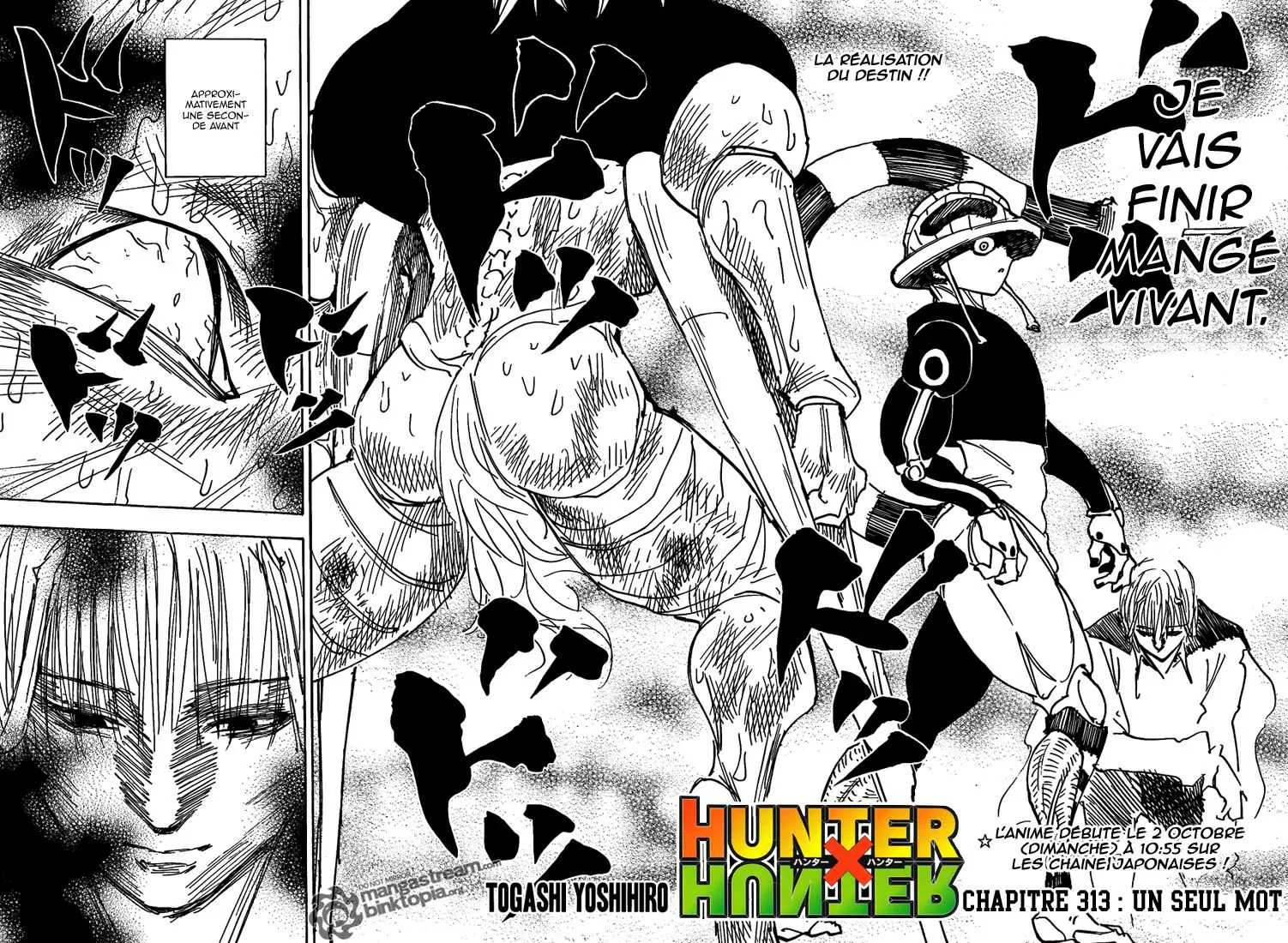 Hunter X Hunter - 313 - 65db98e3216ea.webp