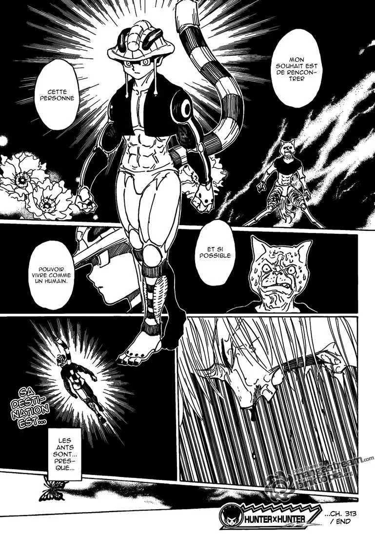 Hunter X Hunter - 313 - 65db98e58d5aa.webp