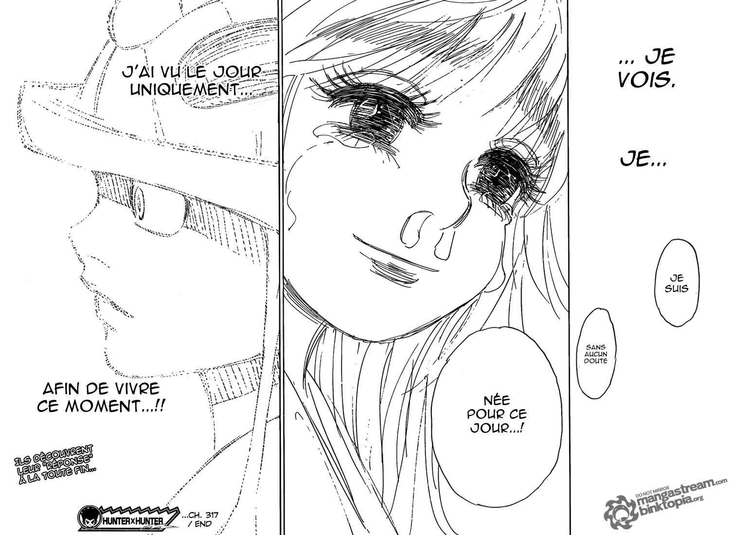 Hunter X Hunter - 317 - 65db98f196749.webp