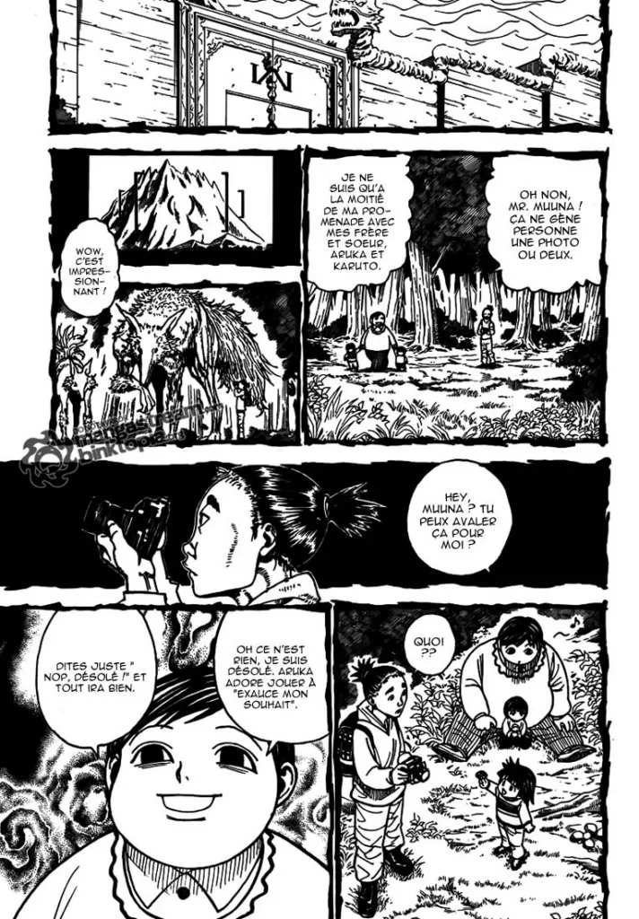 Hunter X Hunter - 323 - 65db99000c83d.webp