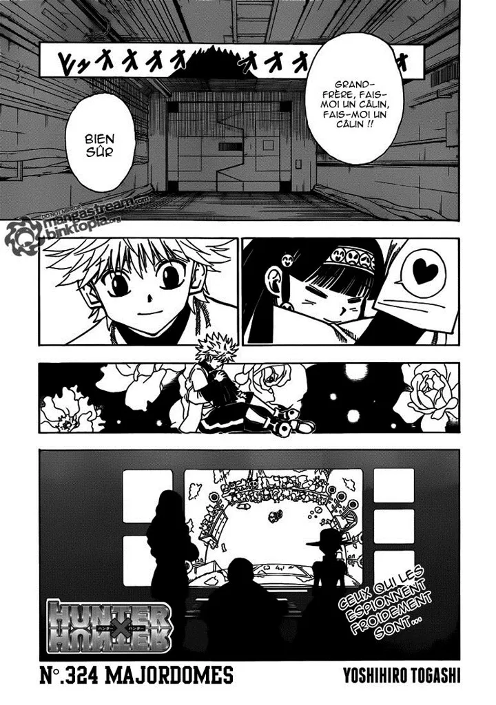 Hunter X Hunter - 324 - 65db990237362.webp