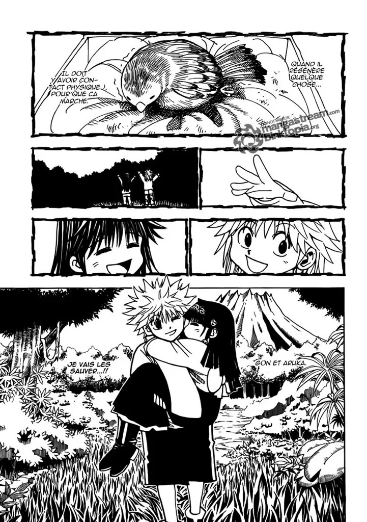 Hunter X Hunter - 324 - 65db990346d23.webp