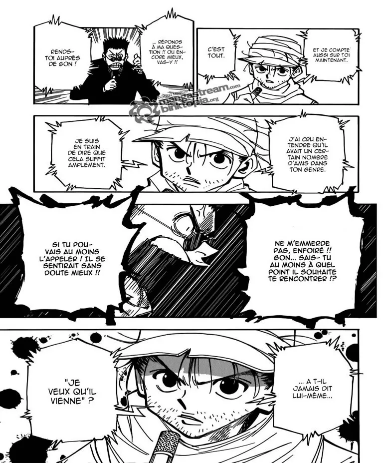 Hunter X Hunter - 325 - 65db9906b36dd.webp