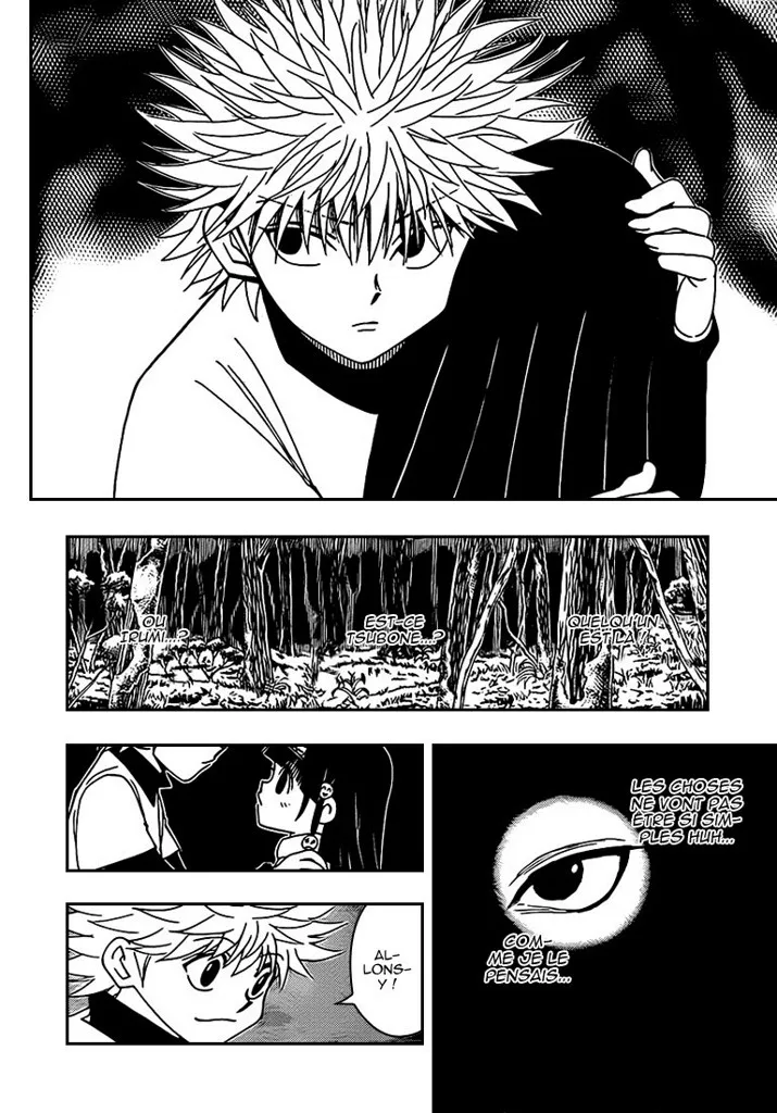 Hunter X Hunter - 327 - 65db990b3f3dd.webp