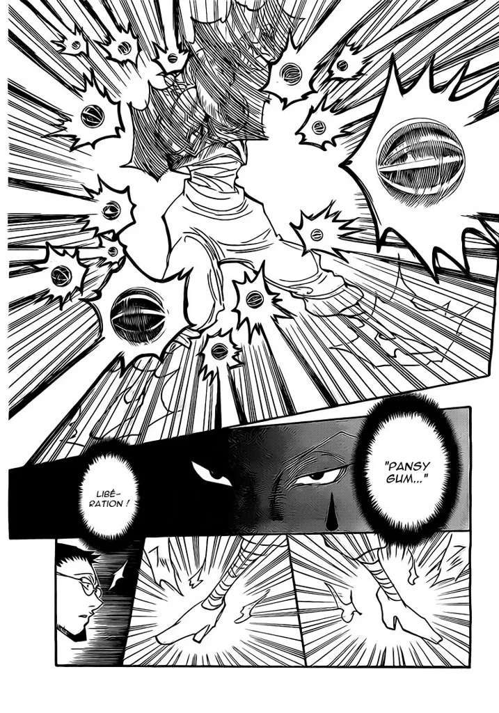 Hunter X Hunter - 327 - 65db990ca76a7.webp