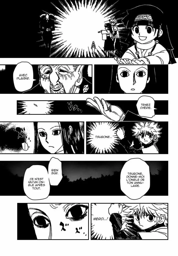 Hunter X Hunter - 330 - 65db9913ccbe8.webp