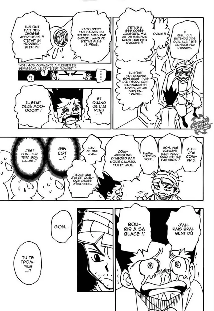 Hunter X Hunter - 335 - 65db992266c74.webp