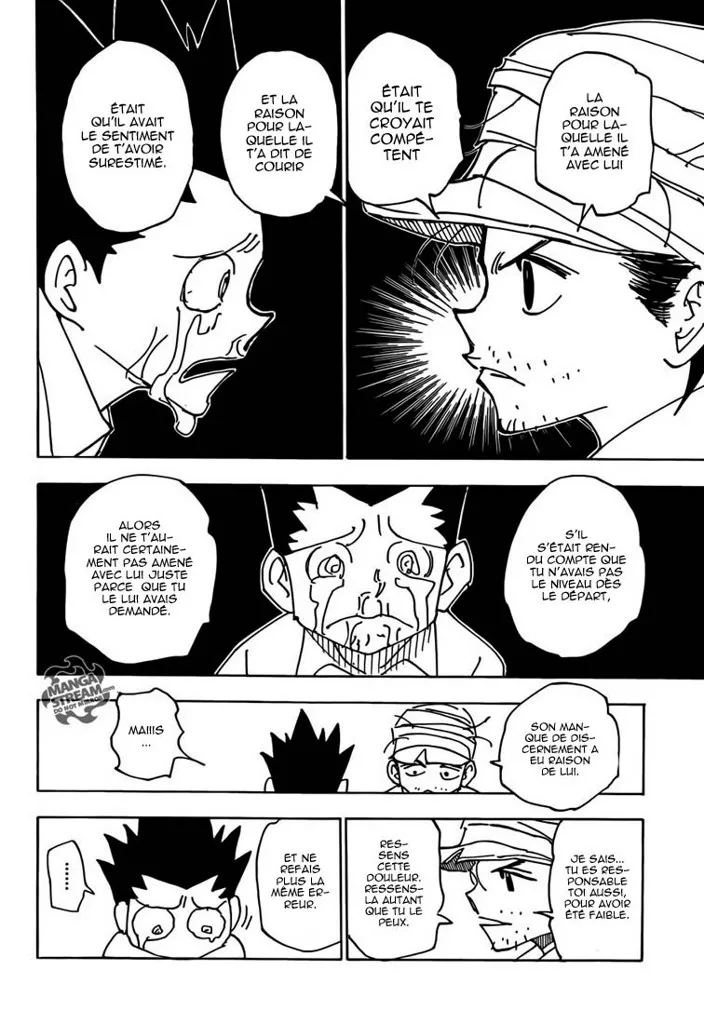 Hunter X Hunter - 335 - 65db99228ab95.webp