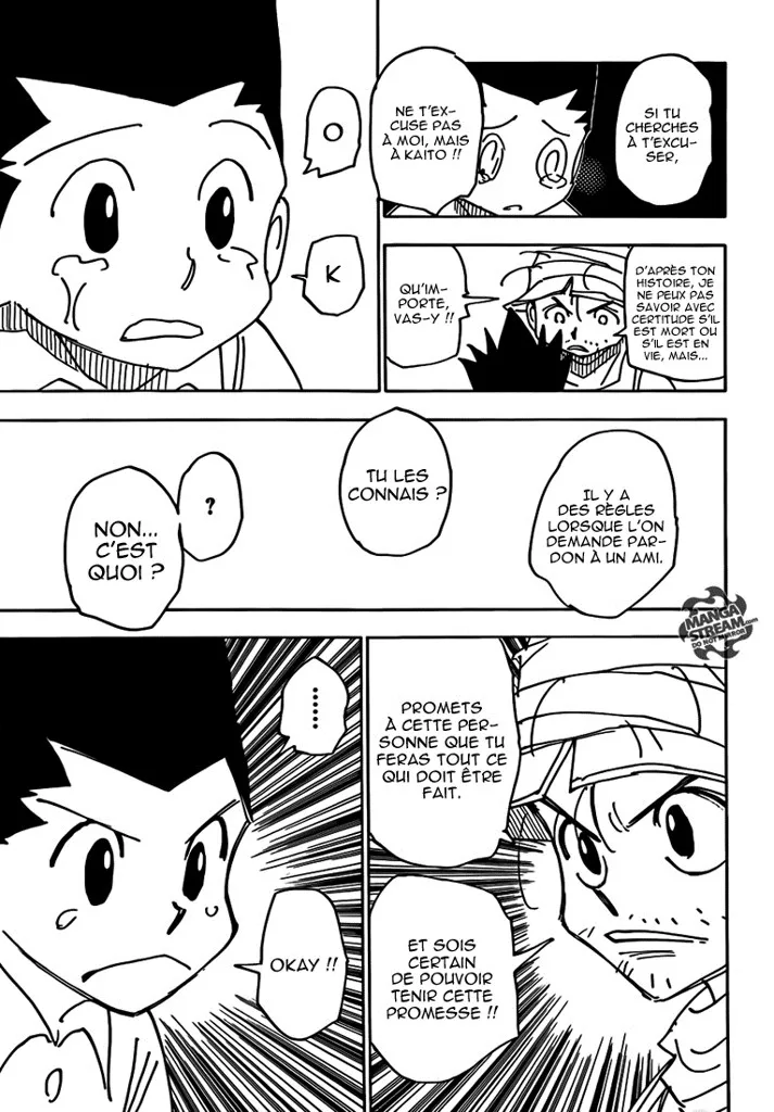 Hunter X Hunter - 335 - 65db9922acf53.webp