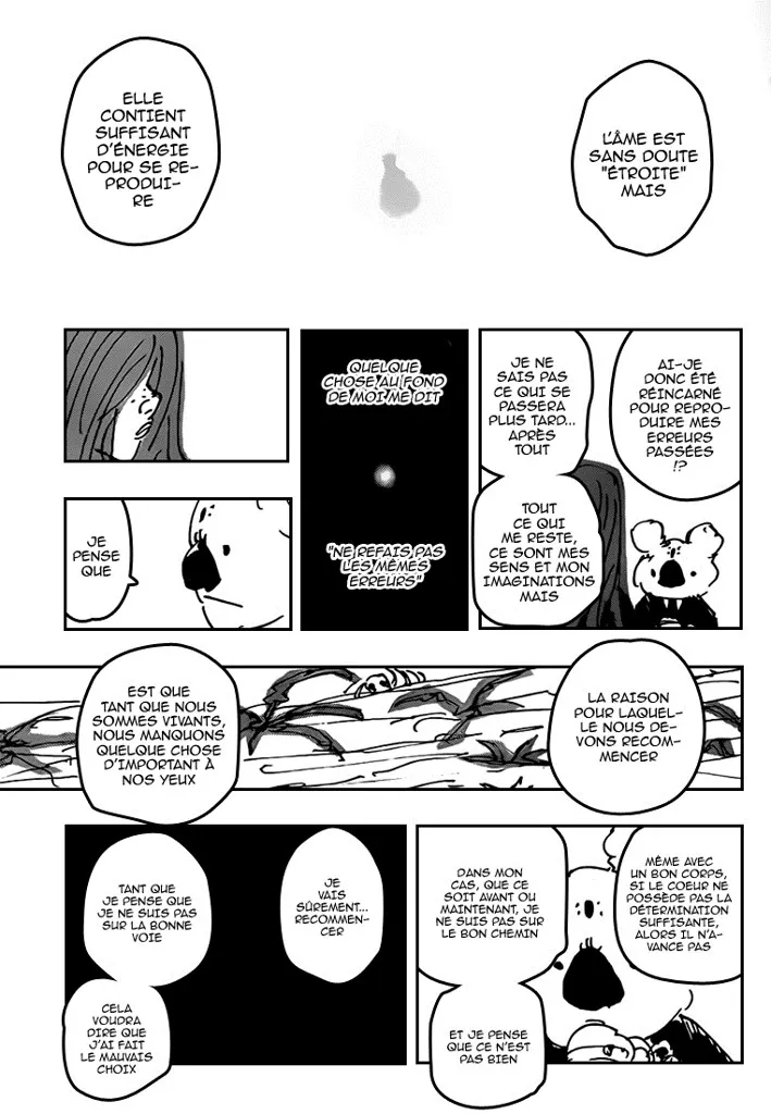 Hunter X Hunter - 337 - 65db9928bdecc.webp