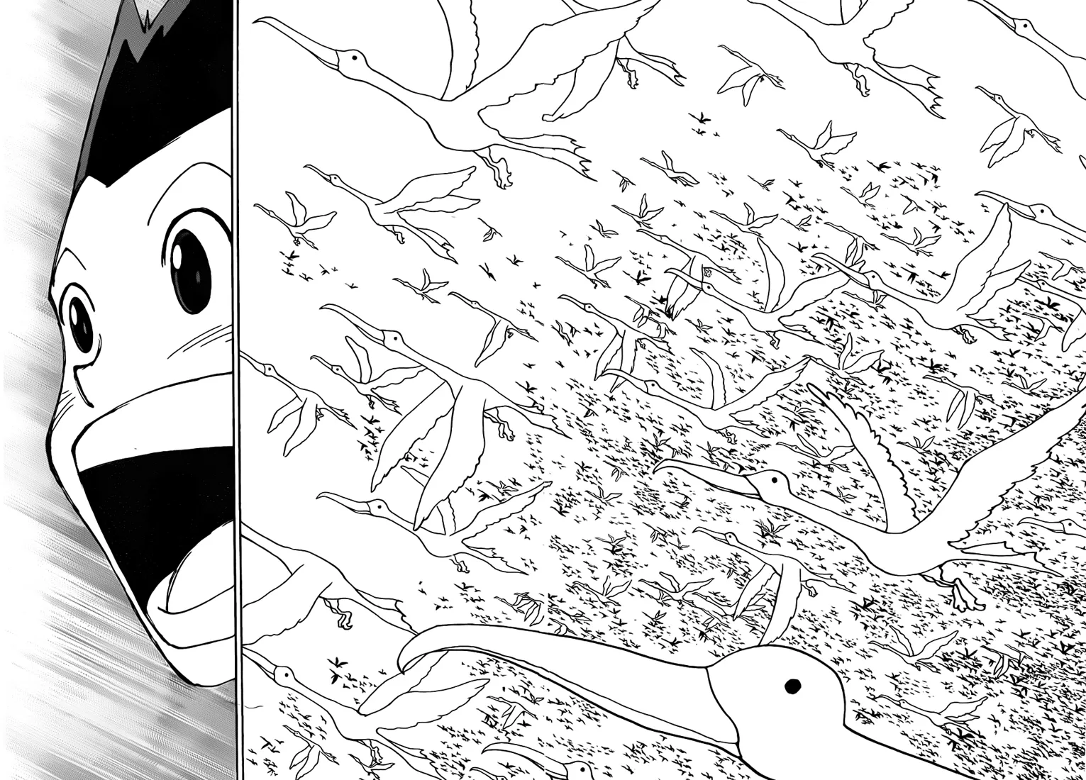 Hunter X Hunter - 339 - 65db992e4487c.webp