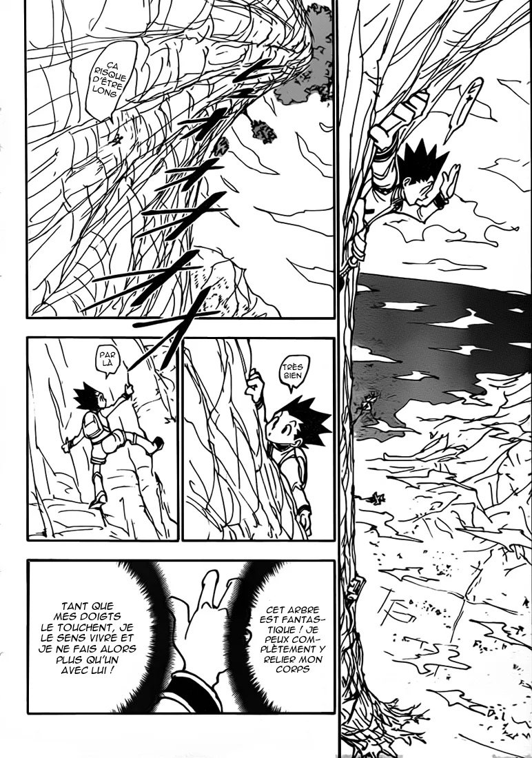 Hunter X Hunter - 339 - 65db992e6e1b7.webp