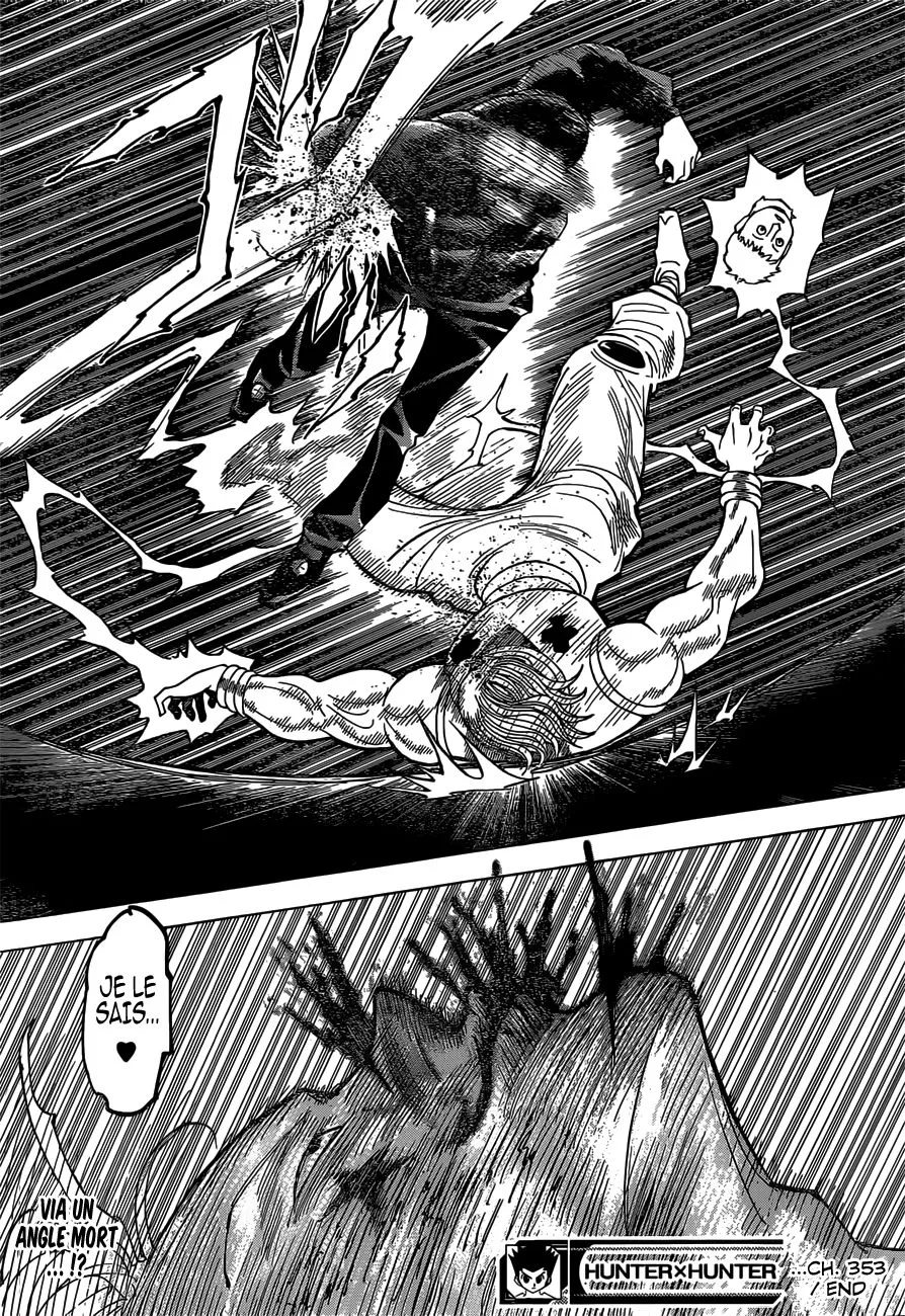 Hunter X Hunter - 353 - 65db996539022.webp