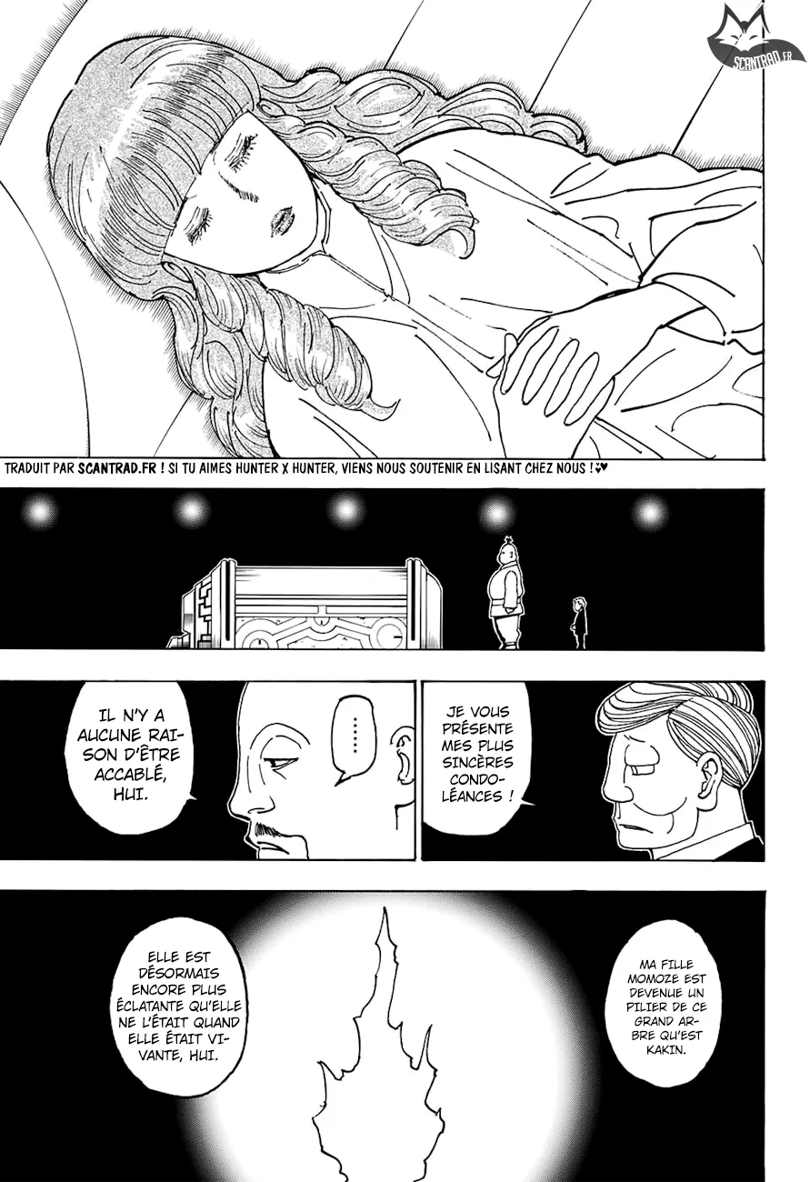 Hunter X Hunter - 371 - 65db99c332efb.webp