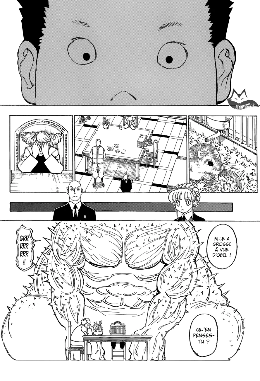 Hunter X Hunter - 372 - 65db99c4ab213.webp