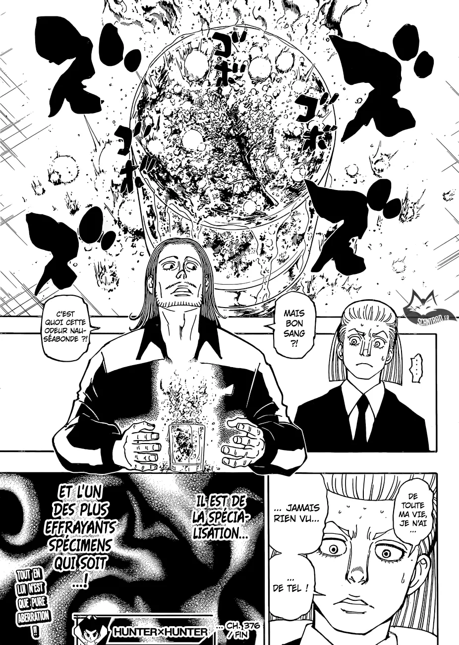 Hunter X Hunter - 376 - 65db99d96ab34.webp