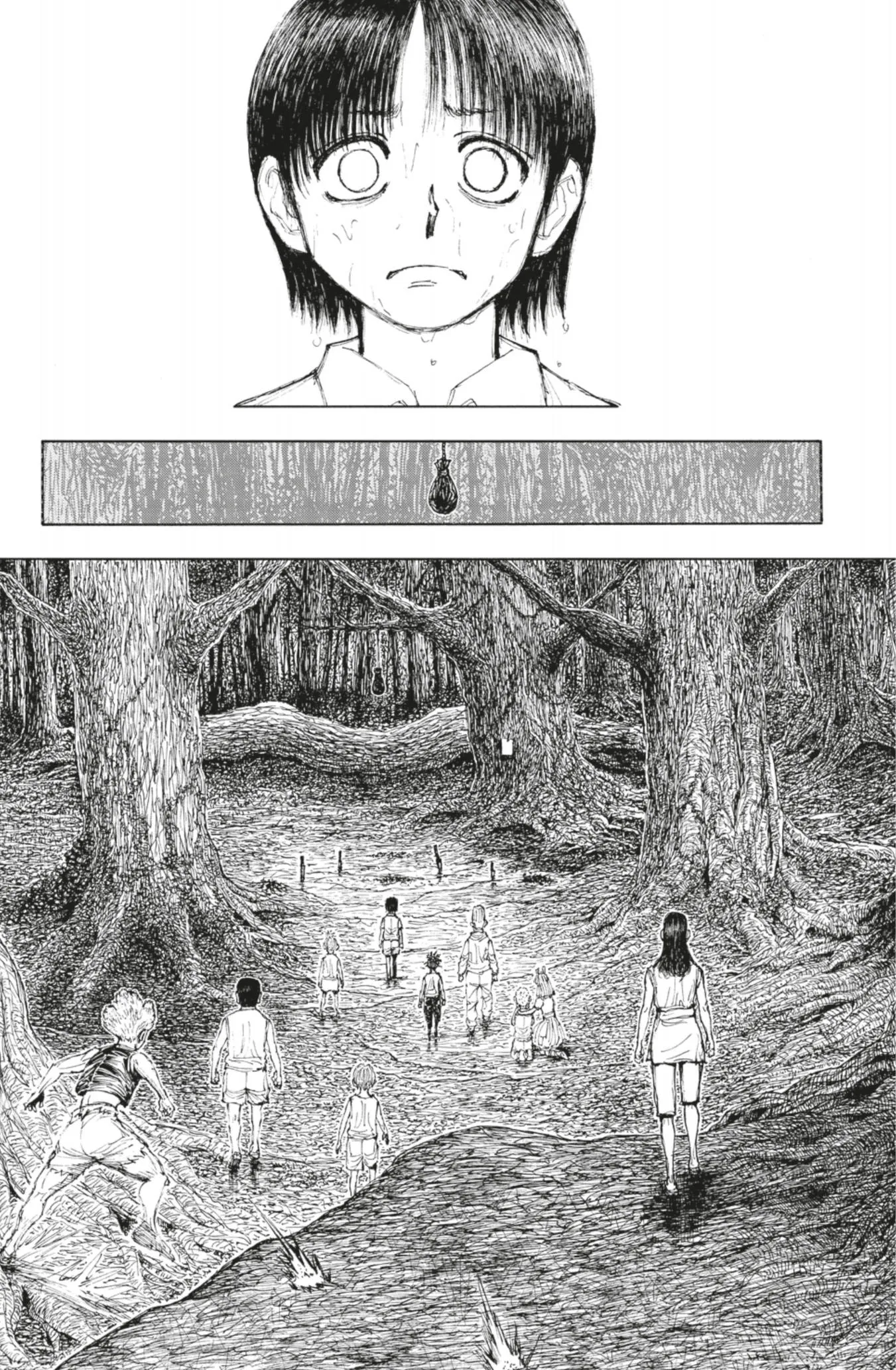 Hunter X Hunter - 397 - 65db9a6e185a5.webp