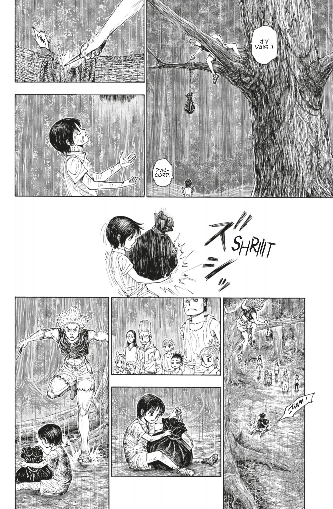 Hunter X Hunter - 397 - 65db9a6f580ca.webp