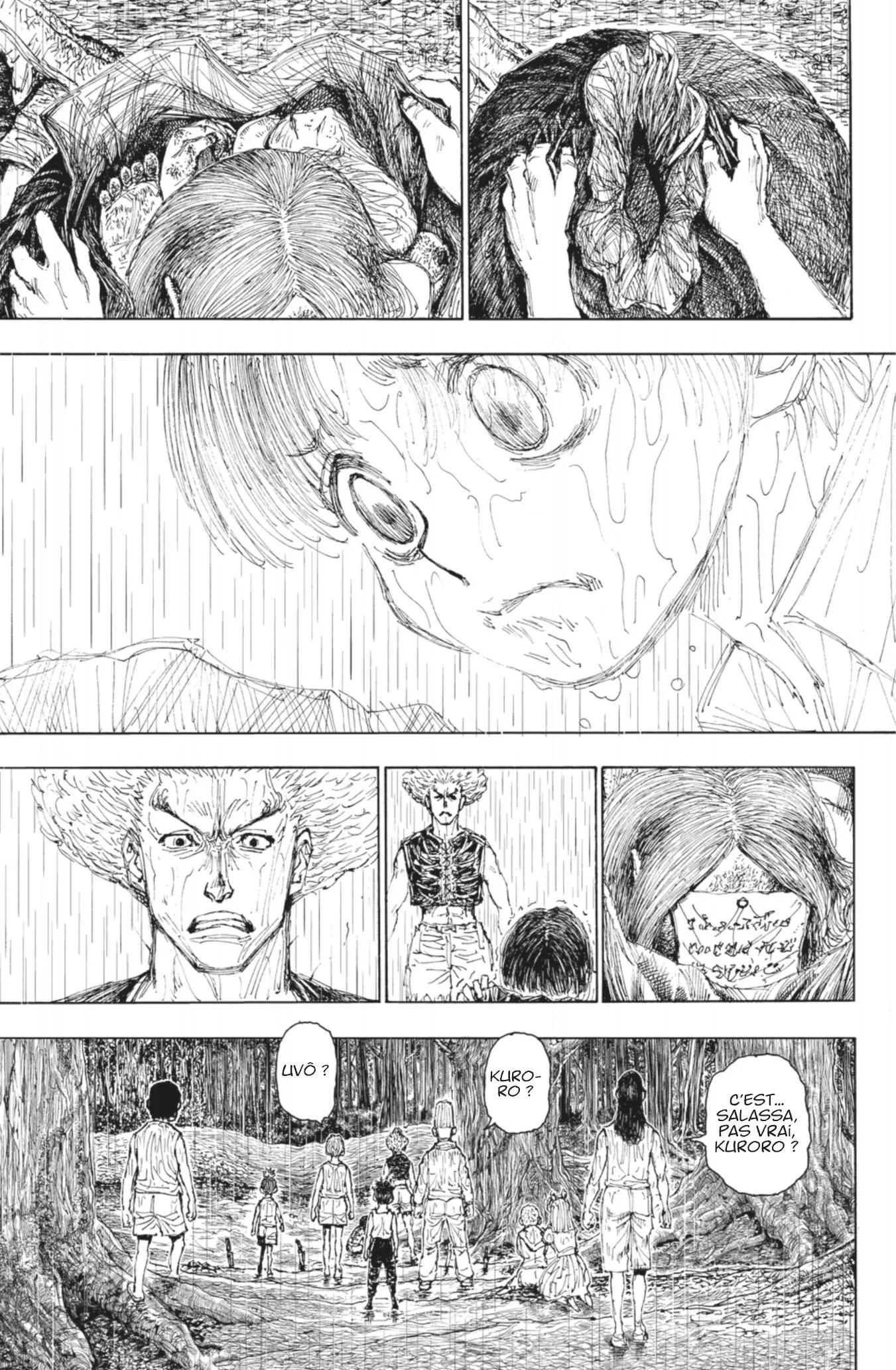 Hunter X Hunter - 397 - 65db9a6feec63.webp