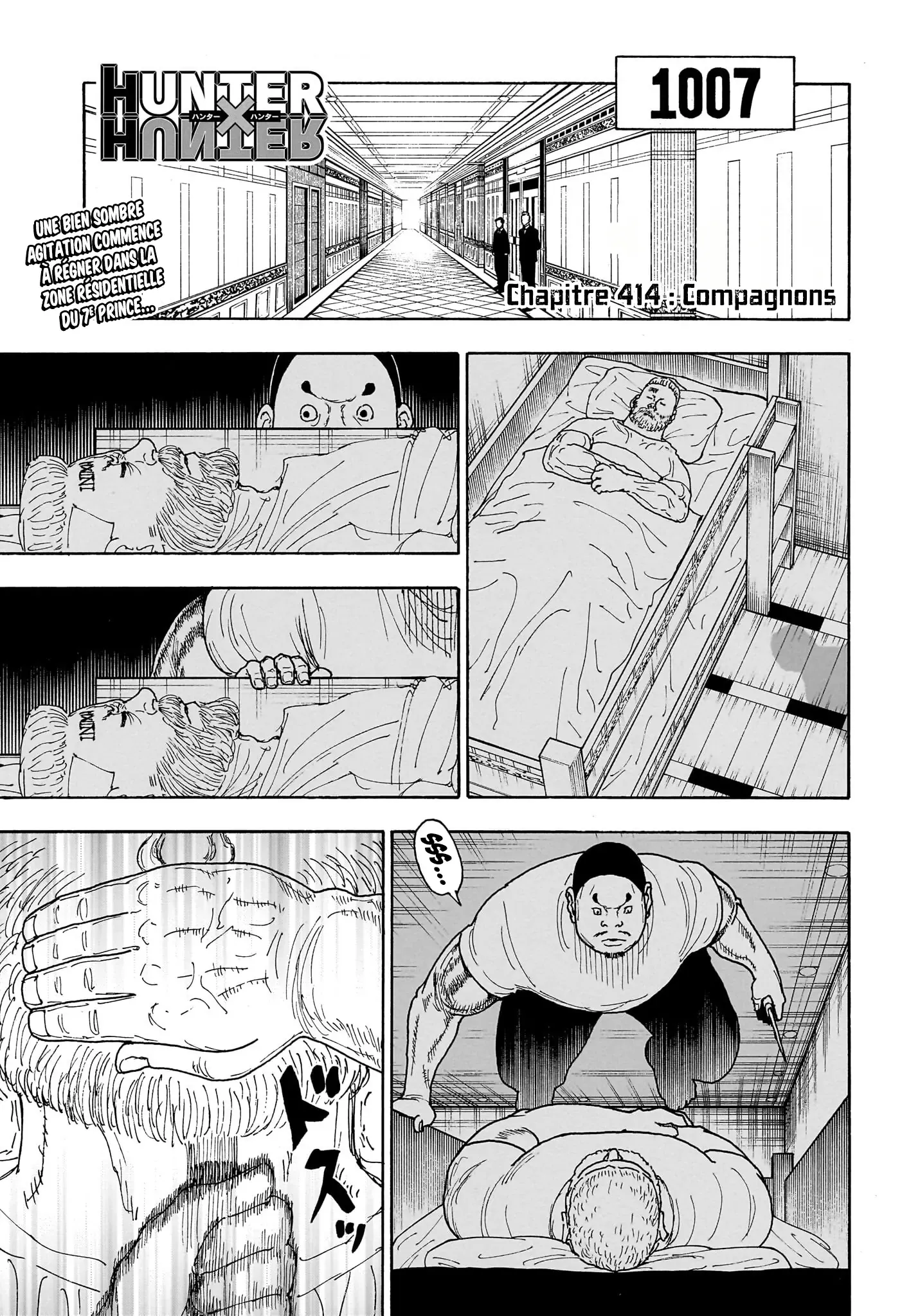 Hunter X Hunter - 414 - 6a5b43909009f_dSl3.webp