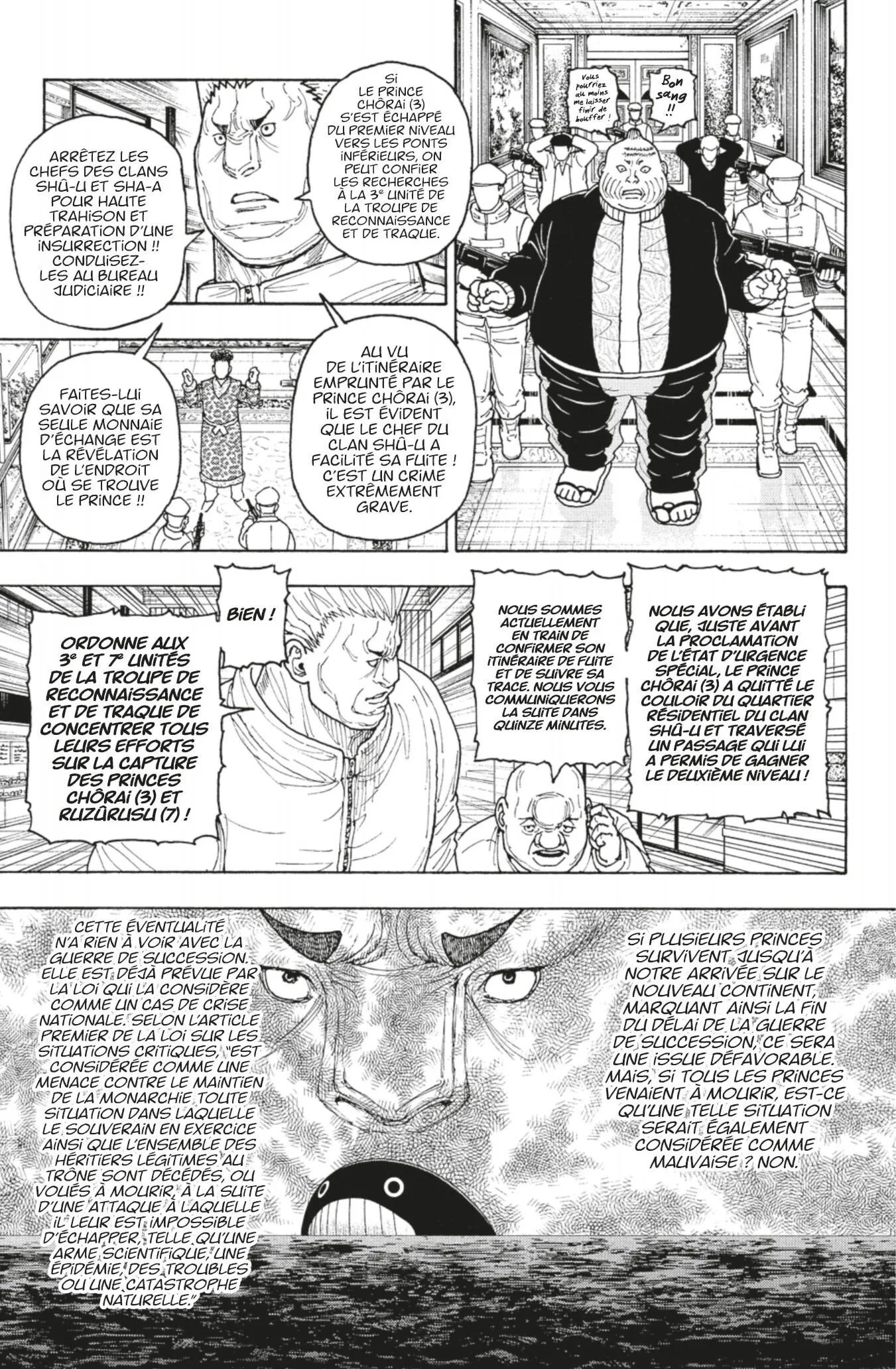 Hunter X Hunter - 417 - 6a78c3a61051b_wOyg.webp