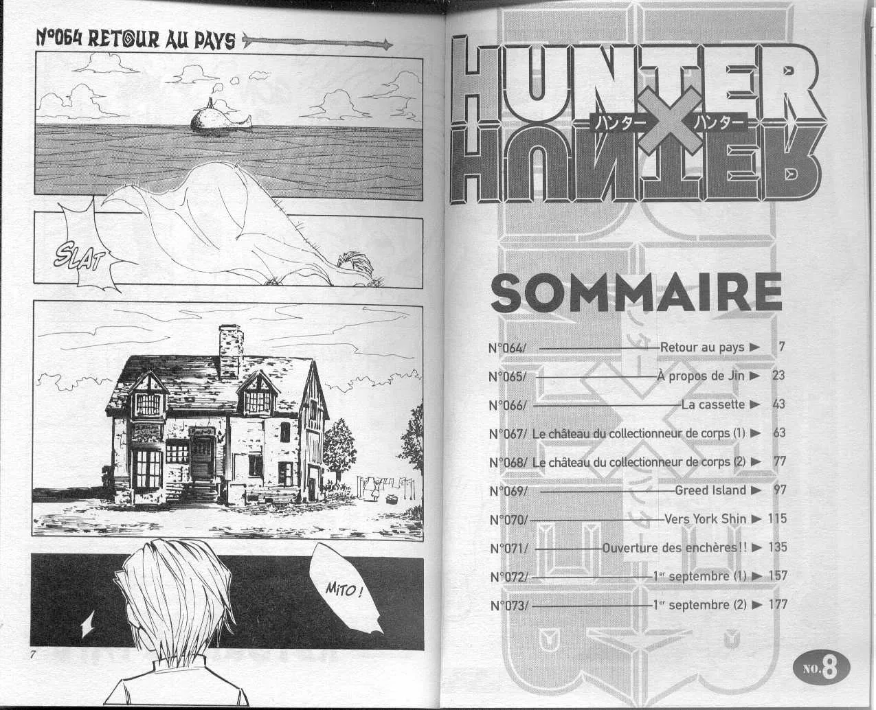Hunter X Hunter - 8 - 65db9b07846eb.webp