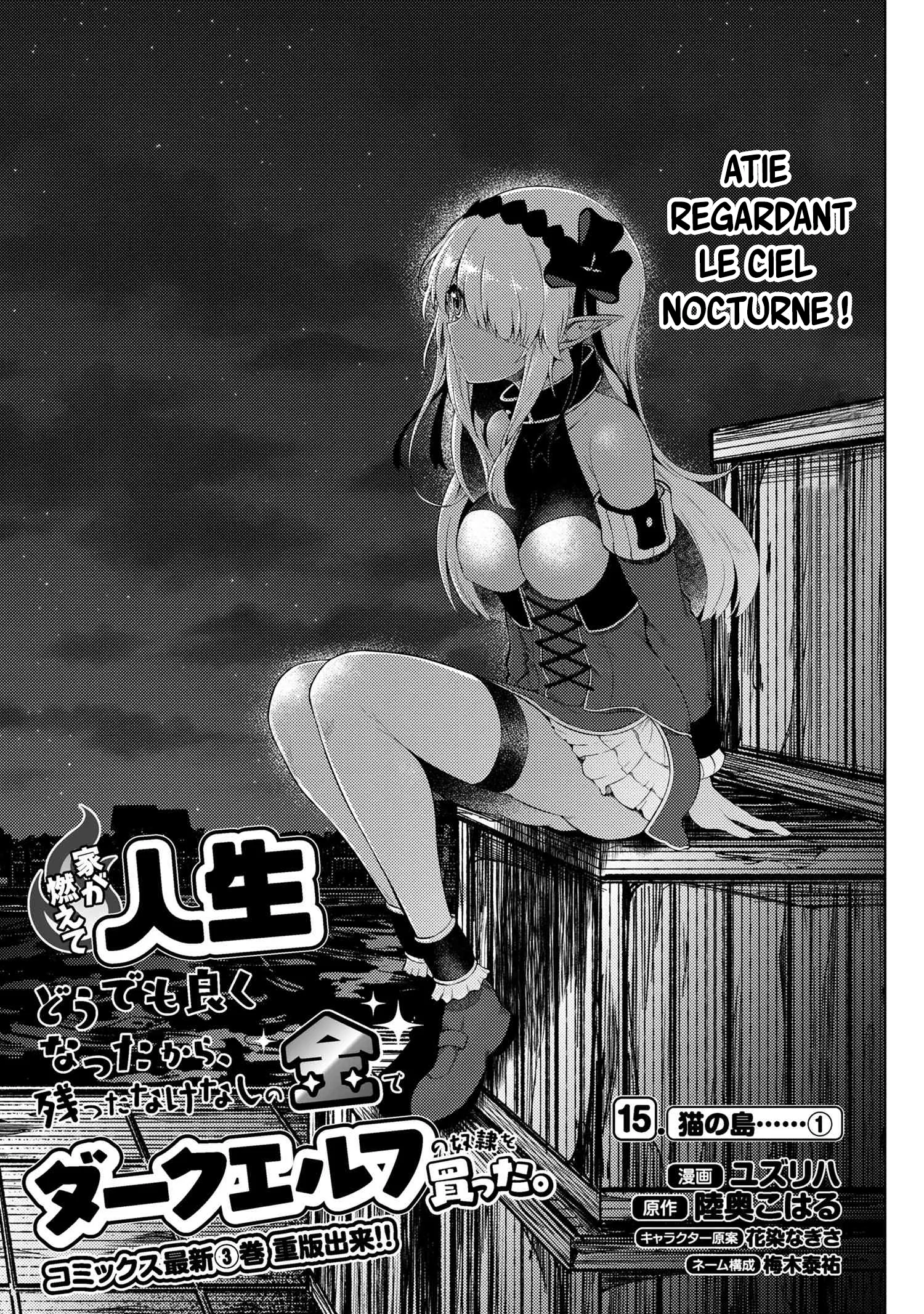 Ie Ga Moete Jinsei Dou Demo Yoku Natta Kara, Nokotta Nakenashi No Kin De Dark Elf No Dorei O Katta - 15.1 - 67d7e9cdcd7c5.webp