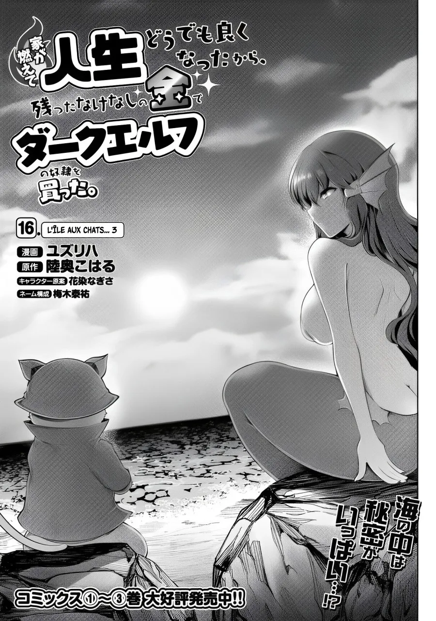 Ie Ga Moete Jinsei Dou Demo Yoku Natta Kara, Nokotta Nakenashi No Kin De Dark Elf No Dorei O Katta - 16.1 - 67d7e9e1a6830.webp