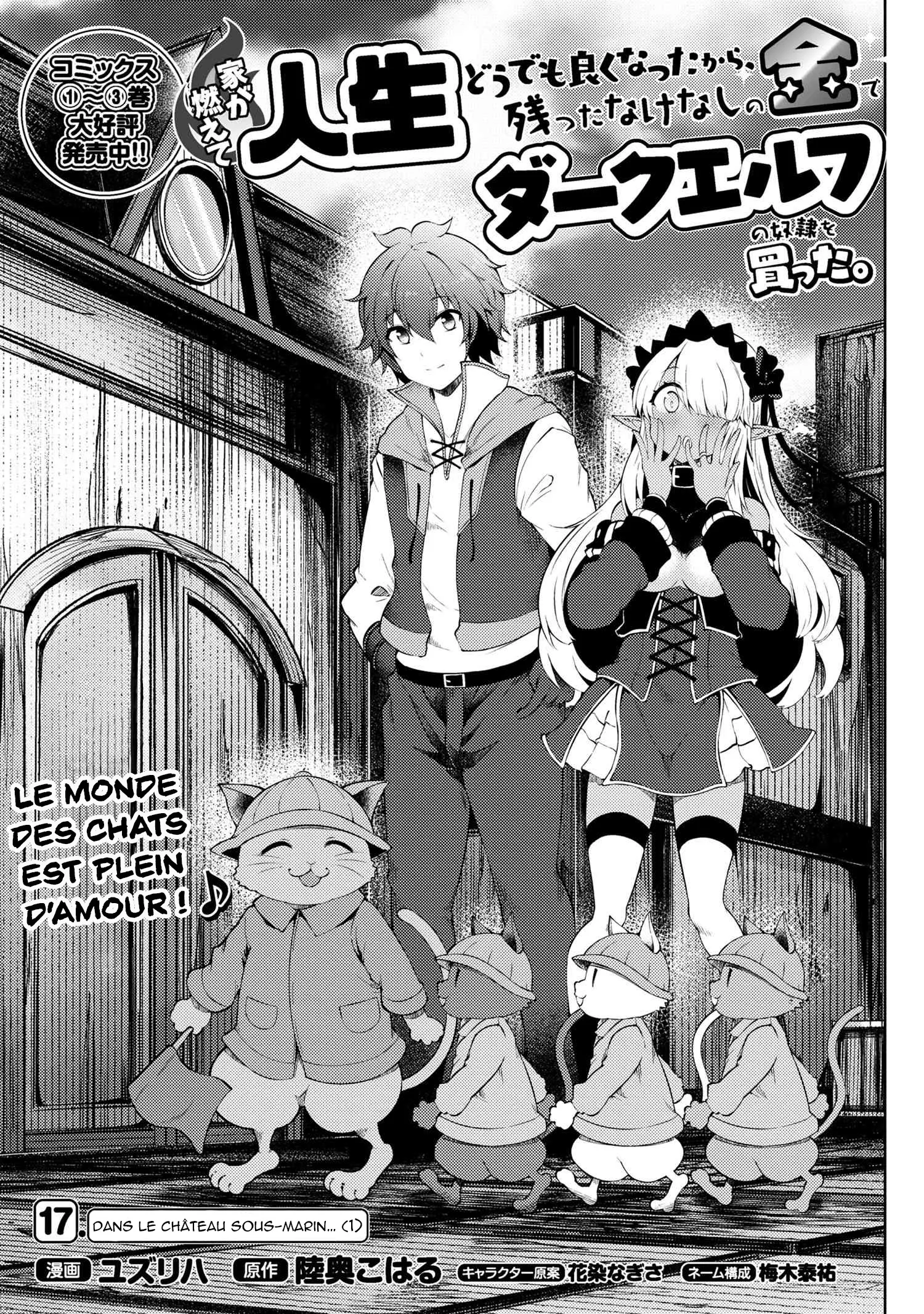 Ie Ga Moete Jinsei Dou Demo Yoku Natta Kara, Nokotta Nakenashi No Kin De Dark Elf No Dorei O Katta - 17.1 - 67d7e9f4e06c4.webp