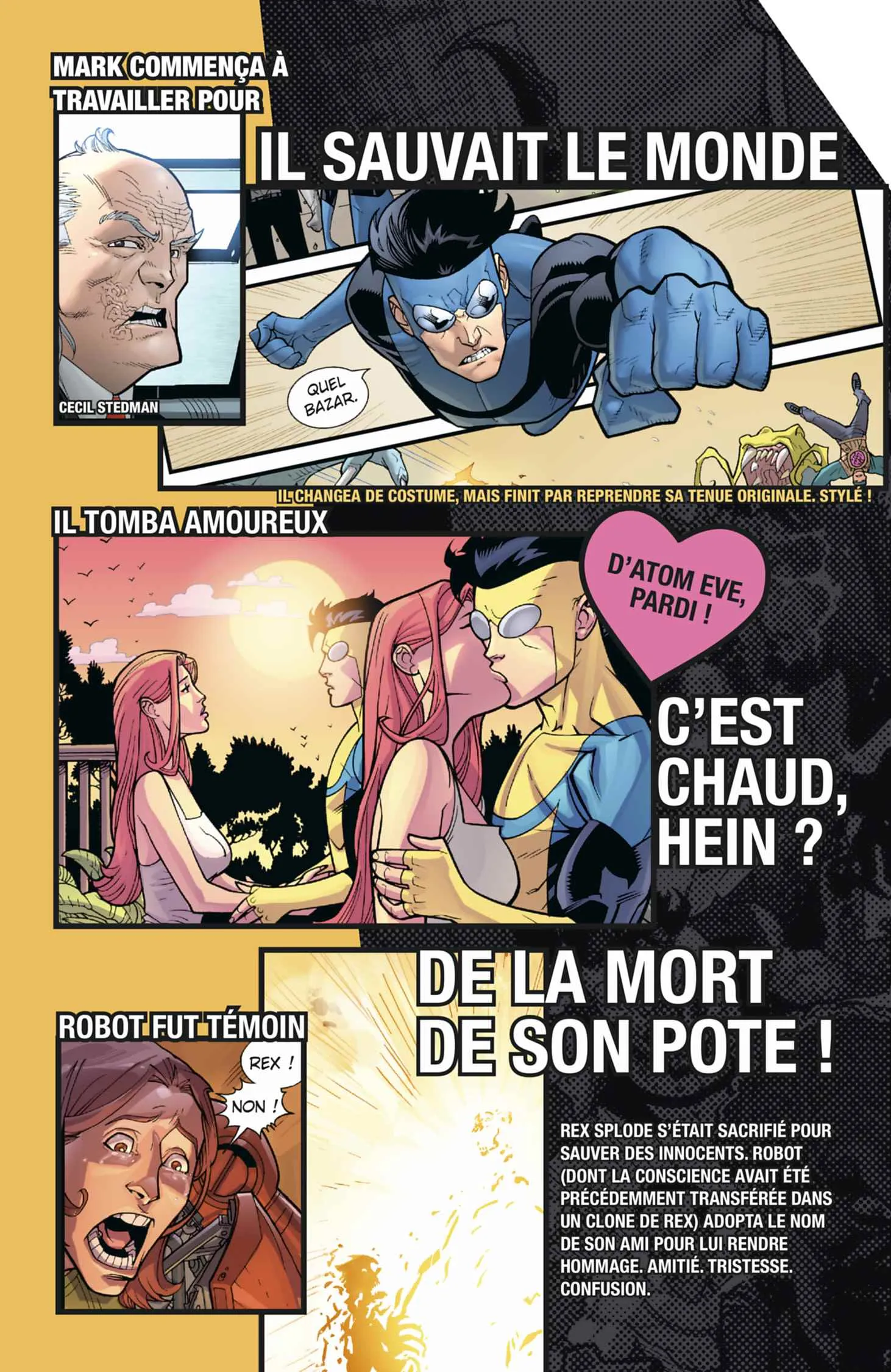Invincible - 17 - 65638746b9022_DgCo.webp