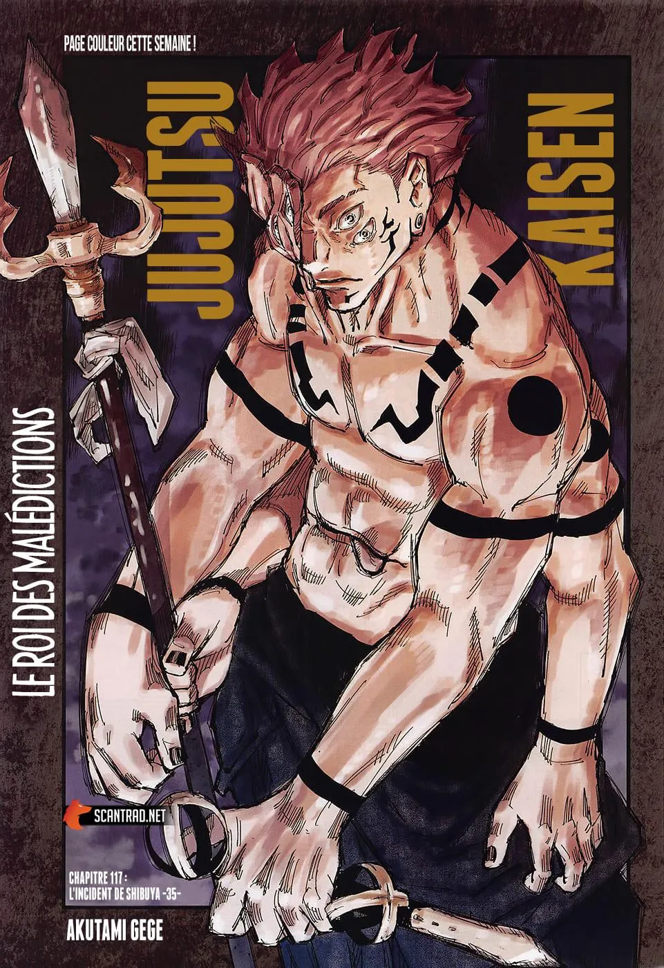 Jujutsu Kaisen - 117 - 6550efe5ae003.webp